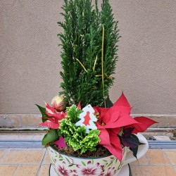 Χριστουγεννιάτικη σύνθεση φυτών σε μεγάλη κούπα