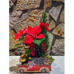 Αυτοκίνητο Santa με Φυτά
