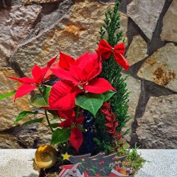 Αυτοκίνητο Santa με Φυτά