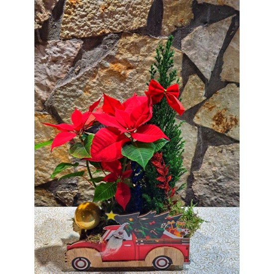 Αυτοκίνητο Santa με Φυτά