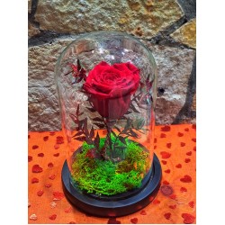 For ever roses Κόκκινο- Καμπάνα Μedium