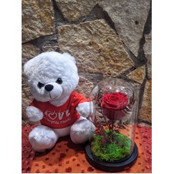 For Ever Roses red  σε καμπάνα  Medium και λευκό αρκουδάκι